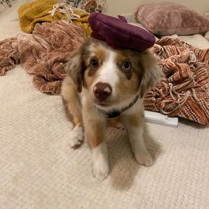 Meet your Posher, Brendan